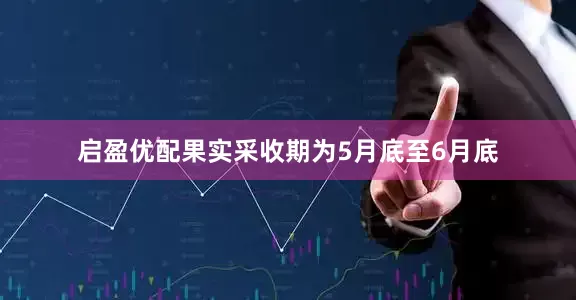 启盈优配果实采收期为5月底至6月底