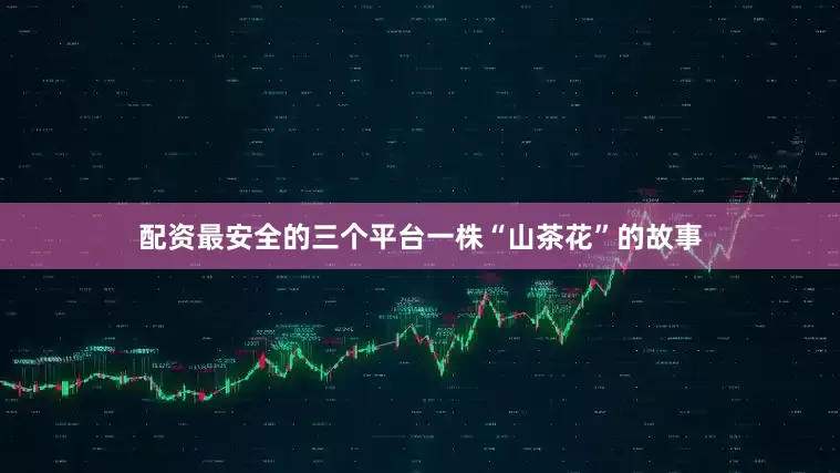 配资最安全的三个平台一株“山茶花”的故事