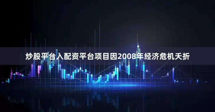 炒股平台入配资平台项目因2008年经济危机夭折