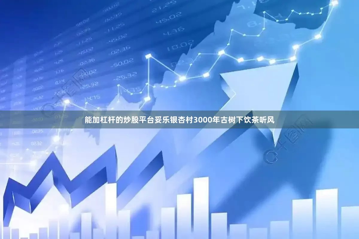 能加杠杆的炒股平台妥乐银杏村3000年古树下饮茶听风