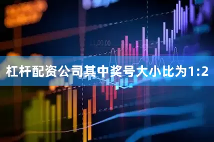 杠杆配资公司其中奖号大小比为1:2