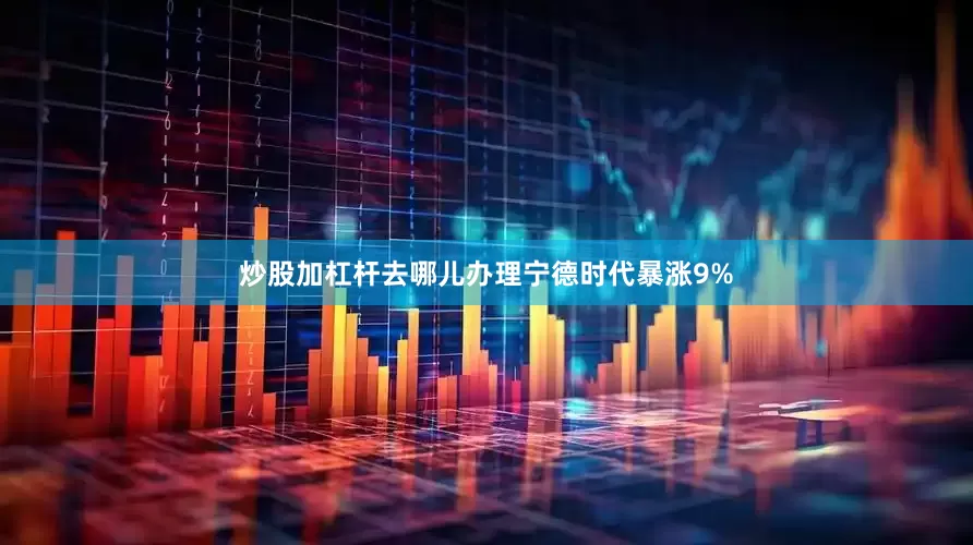 炒股加杠杆去哪儿办理 宁德时代暴涨9%